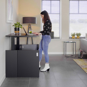 HomeFit Electric Height-Adjustable Desk